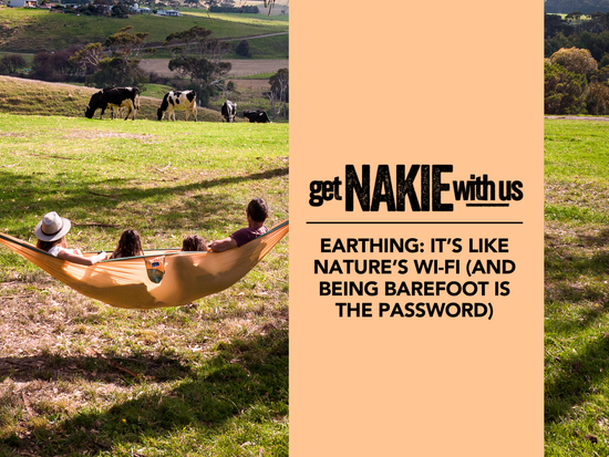 Turning Your Backyard Into A Wildlife Wonderland