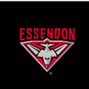 Essendon Bombers - AFL Recycled Sand Free Beach Towel swatch 1.0