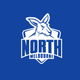North Melbourne Kangaroos - AFL Sustainable Down Puffy Blanket colour swatch