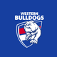Western Bulldogs - AFL Sustainable Down Puffy Blanket colour swatch