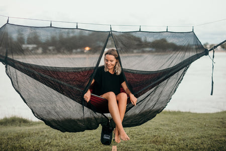 Bug Net